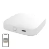 MOES BHUB-W Wi-Fi/Bluetooth Mesh vārteja