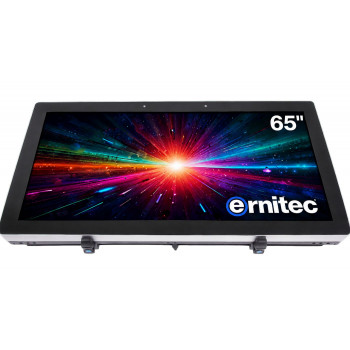 Ernitec 65 inch 24/7 4K UHD monitors (0070-24165-HB3000-L)
