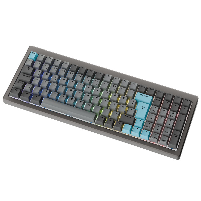 Ducky Cushion 98 spēļu klaviatūra, 96%, DE izkārtojums (ISO), Shush sarkanie slēdži - Nickel (DKCUS2598-DSDEPHCC3H1)