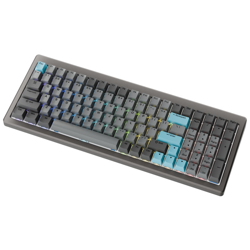 Ducky Cushion 98 spēļu klaviatūra, 96%, US izkārtojums (ANSI), Shush sarkanie slēdži - Nickel (DKCUS2598-DSUSPHCC3H1)