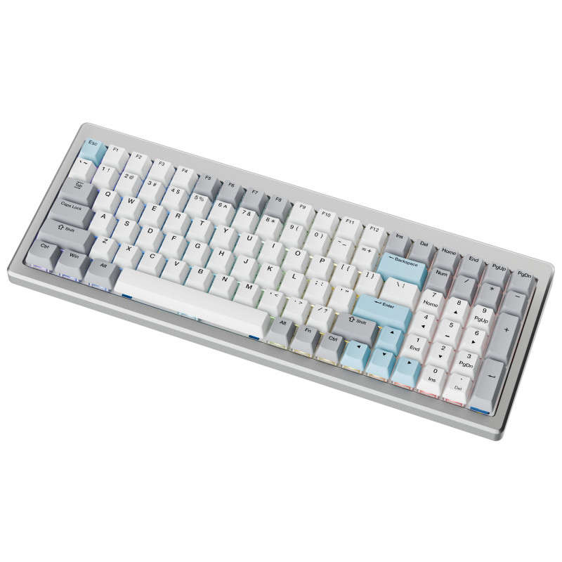 Ducky Cushion 98 spēļu klaviatūra, 96%, US izkārtojums (ANSI), Shush sarkanie slēdži - sudraba (DKCUS2598-DSUSPHCC4S1)