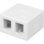 Techly 366310 virsmas montāžas kārba 2 Keystone moduļiem RJ45 vai RJ11/12