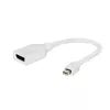 Gembird Mini DisplayPort uz DisplayPort adapteris, balts