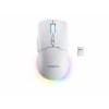 Lenovo Legion M220 RGB bezvadu spēļu pele, 2.4 GHz / Bluetooth / vadu, Glacier White (GY51V60437)