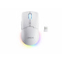 Lenovo Legion M220 RGB bezvadu spēļu pele, 2.4 GHz / Bluetooth / vadu, Glacier White (GY51V60437)