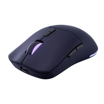 Lenovo Legion M220 RGB bezvadu spēļu pele, 2.4 GHz / Bluetooth / vadu, Nebula purpura (GY51V60439)