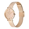 Daniel Wellington DW00100795 sieviešu pulkstenis, 28 mm