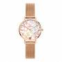 Daniel Wellington DW00100723 sieviešu pulkstenis, 28 mm