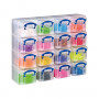 Really Useful Box glabāšanas kaste ar 16x 0,3 l kastītēm, 37,5 x 12,5 x 31,0 cm, caurspīdīga