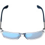 Leatt TheViz Sierra Polarized riteņbraukšanas brilles, sudraba/zilas
