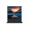 celexon Professional mobile plus ekrāns projektoram, 51" (131 cm)