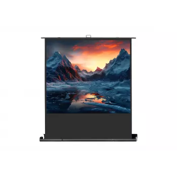 celexon Professional mobile plus ekrāns projektoram, 51" (131 cm)