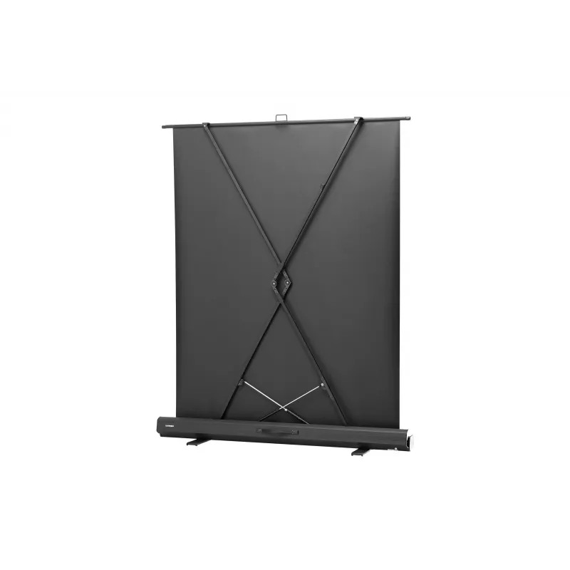 celexon Professional mobile plus ekrāns projektoram, 51" (131 cm)