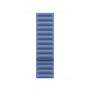 Apple Magnetic Link viedā pulksteņa siksniņa 42 mm, Wildflower Blue (zila), S/M, MKRE4ZM/A