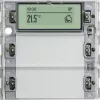 Gira spiedpogas sensors 3 Plus 514200, 2-gang, System 55