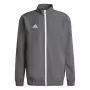 adidas Entrada 22 Prezentācijas jaka Team Grey Four M