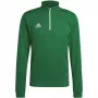adidas Entrada 22 Training sporta džemperis, zaļš HI2129 S