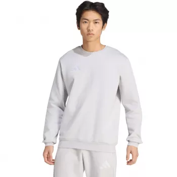 adidas Entrada 26 Vīriešu Treniņsviedračs Pelēks XL
