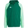adidas Tiro 23 Competition All Weather Vīriešu Jaka Green IC4570