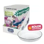 ANIMAL ISLAND NEW JELLY EVERYDAY 12x85g + Feeding Bowl