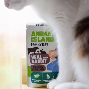 Animal Island mitrā kaķu barība ar teļa gaļu / trušu un tītaru / tunča fileju buljonā 4x85g