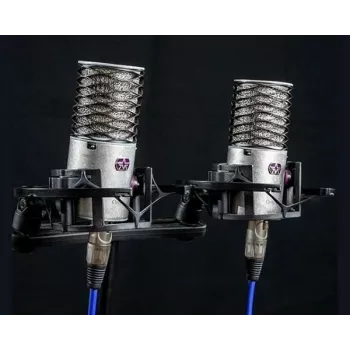 Aston Microphones Origin Stereo Pair Kondensatora Mikrofoni