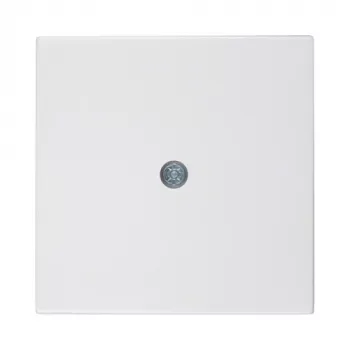 Berker centrālā plāksne kabeļu izvadam, polāri balta (55x55mm, IP20, iegremdējama) - 10198989