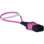 BlueOptics Loopback Adapter MPO/MTP Multimode OM4