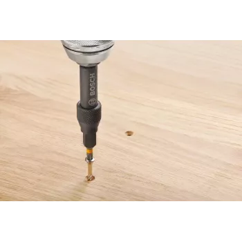 Bosch 2607002786 20 gabalu skrūvgrieža uzgaļu komplekts ar magnētisko universālo turētāju, 25 mm S2 tērauda uzgaļi Phillips, Pozidriv, plakanajiem, Torx, sešstūra skrūvēm