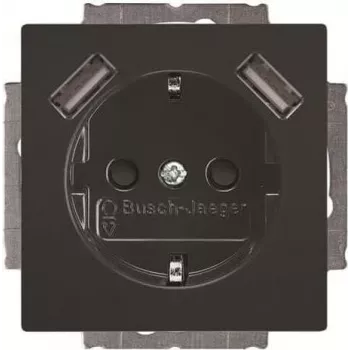 BUSCH-JAEGER BJ 20 EUCB2USB-81 SCHUKO kontaktligzda ar 2 USB portiem, baltā (Alpine White) 2CKA002011A6267