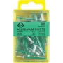 C.K Tools T3819A 508 aklo kniedes 4,8 x 19 mm alumīnija/tērauda puslodes galva (50 gab.)