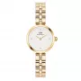 DANIEL WELLINGTON Petite Melrose Women's Watch 22mm Rose Gold Mesh Strap DW00100715