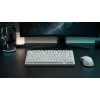 Dark Project ALU81A Terra Nova White mehāniskā klaviatūra, G3MS Moonstone slēdži, US ANSI