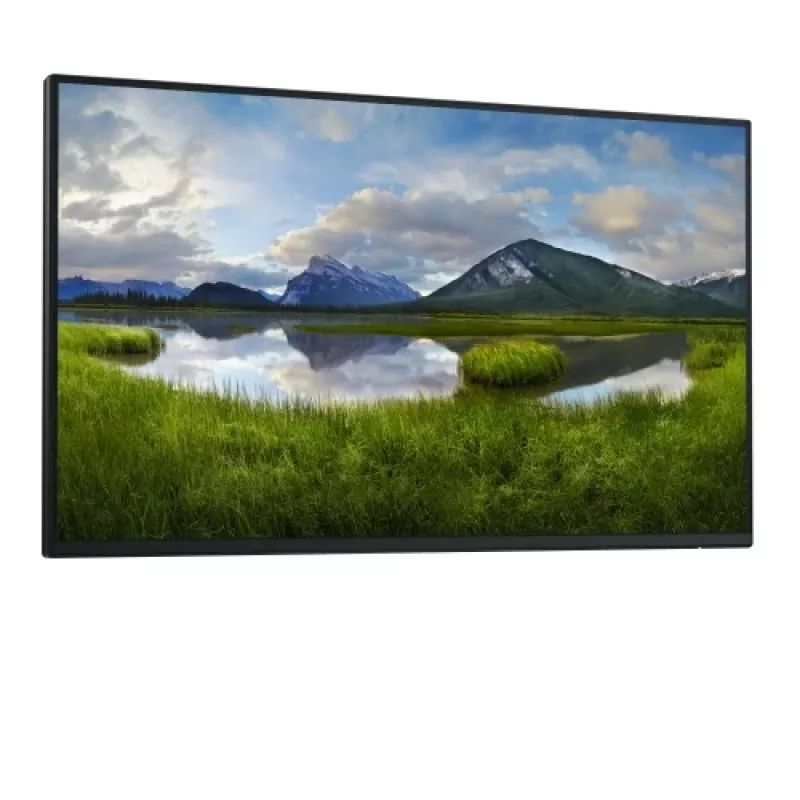 Dell Pro 24 Plus P2425HE 23.8 inch IPS FHD monitors (bez statīva)