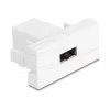 Delock Easy 45 modulis EASY-USB 2.0 Type-A female uz EASY-USB Type-A female balts 90866