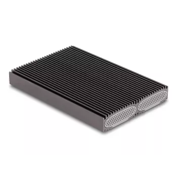 Delock USB Type-C Dual Combo korpuss 2 x M.2 NVMe PCIe vai SATA SSD - bez instrumentiem