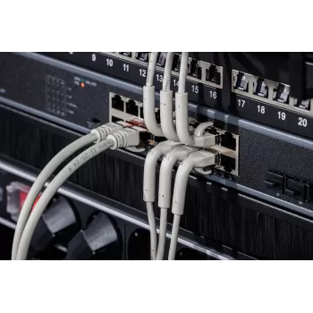 DIGITUS CAT 6A F/FTP Leņķa RJ-45 Plākstera Kabelis, Varš, 0,3 m, Pelēks, 10-Gab.