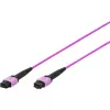 DIGITUS OM4 MPO uz MPO 12 šķiedru savienojuma kabelis, 2m, Method A, violets DK-2566-02/4