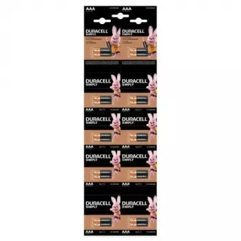 DURACELL Basic AAA Alkaline Battery LR03 1,5V Blister Pack of 20