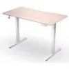 ENDORFY Atlas S Electric regulējama augstuma galds gaišā kokā 120x60 cm