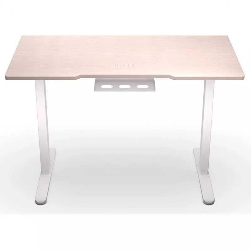 ENDORFY Atlas S Electric regulējama augstuma galds gaišā kokā 120x60 cm