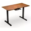 ENDORFY Atlas S Electric augstuma regulējams rakstāmgalds Valrieksts/Melns 120x60 cm