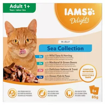IAMS Delights Adult Sea želejā, mitrā kaķu barība, 8 x 85 g