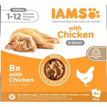 IAMS Delights Kitten in Gravy mitrā barība kaķēniem mērcē, 8 x 85 g