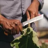Fiskars X-series K82 ražas novākšanas nazis, nerūsējošā tērauda asmens, SoftGrip rokturis, 15 cm, melns/oranžs