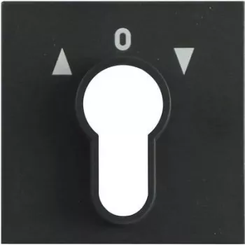 Gira pārsega plāksne atslēgas slēdzim, System 55, antracīta 066428