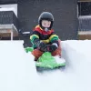 Hamax Sno Zebra Snow Racer Zaļš polietilēns