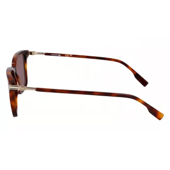Lacoste vīriešu saulesbrilles L6035S5318214 - Havana acetāta rāmis, brūnas lēcas, 53 mm