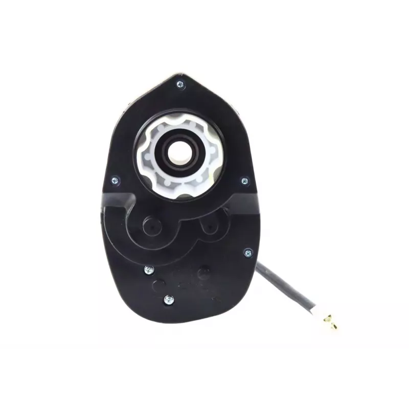 Lean Toys SX1968 – 24 V motors braucamai bērnu automašīnai