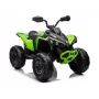 LEAN CARS Electric Ride On Quad CAN-AM Renegate Green